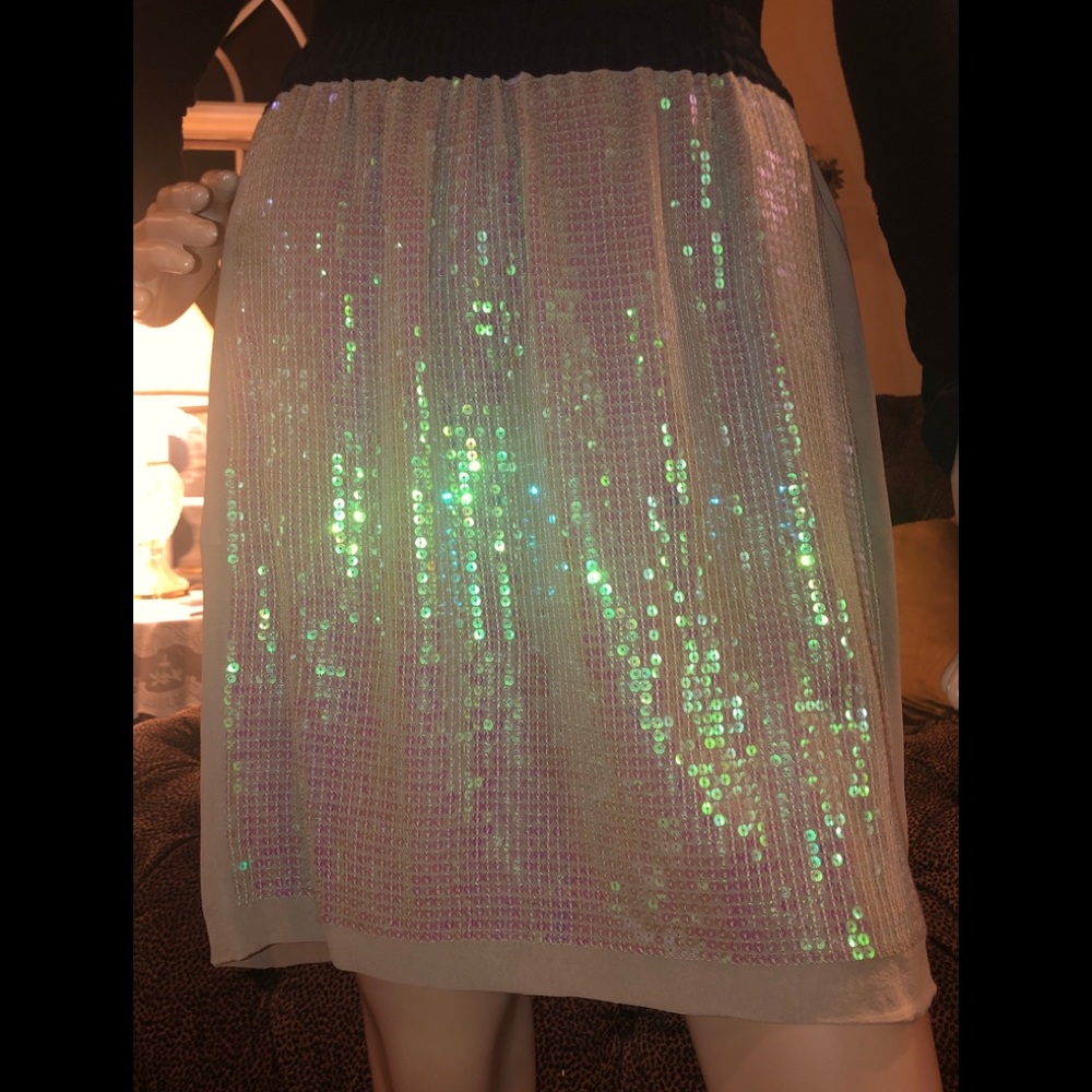 NWT BCBG Maxazria 100% Silk Sequin Panels Skirt S